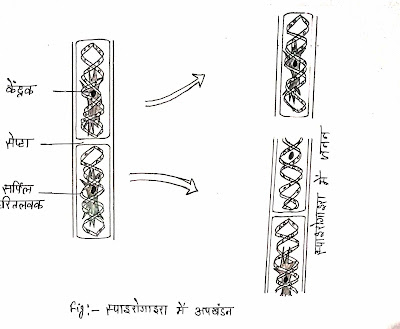 dna-kya-hai-hindi-me