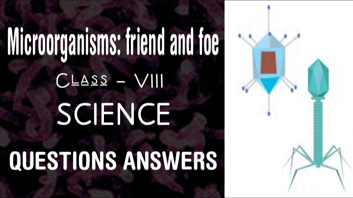 Microorganisms: friend and foe class 8 Science NCERT Solutions