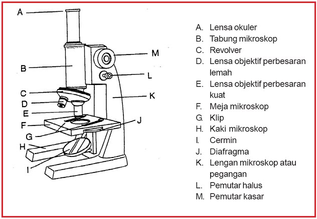 LABORATORIUM BIOLOGI: MIKROSKOP DAN PENGGUNAANNYA