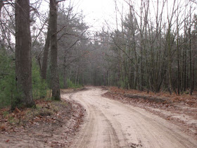 Old Freesoil Road