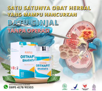 orthafit bharata obat batu ginjal tanpa operasi