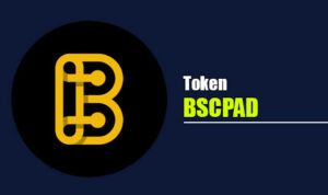 BSCPAD, BSCPAD coin