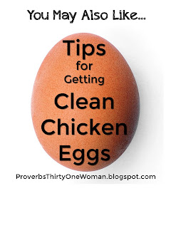 http://proverbsthirtyonewoman.blogspot.com/2013/09/tips-for-getting-clean-chicken-eggs.html#.WIEPEn3krcQ