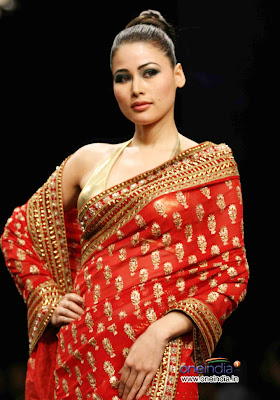 Anita Dongre Collection at Lakme Fashion Week 2010