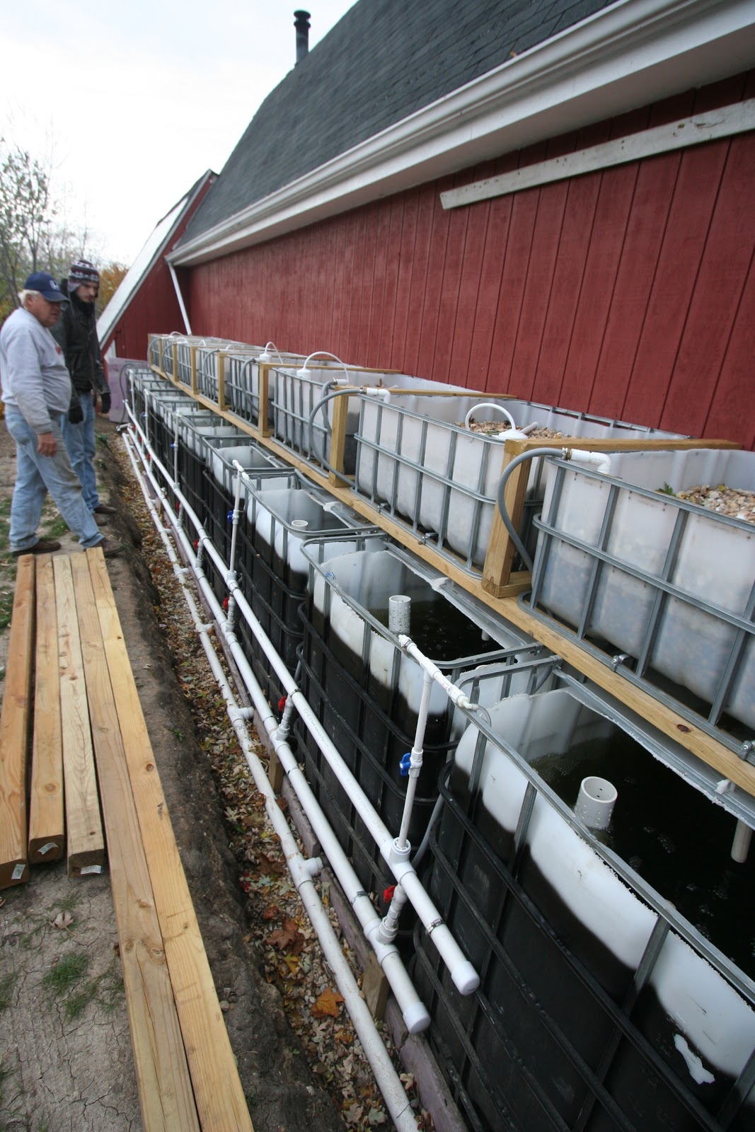 Outside the Wolf Pack Aquaponic greenhouse backyard system commercial