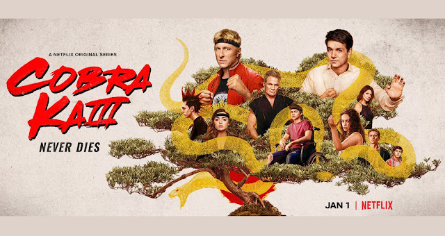 Descargar Cobra kai Temporada 3