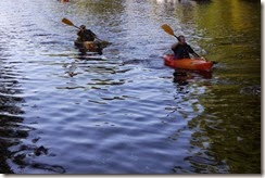 Dismal Swamp Paddlers3