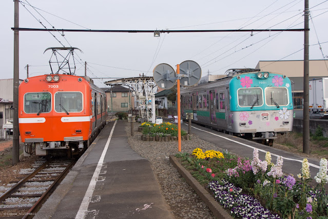 岳南電車 芝桜電車7000形7001号と普通電車7000形7003号