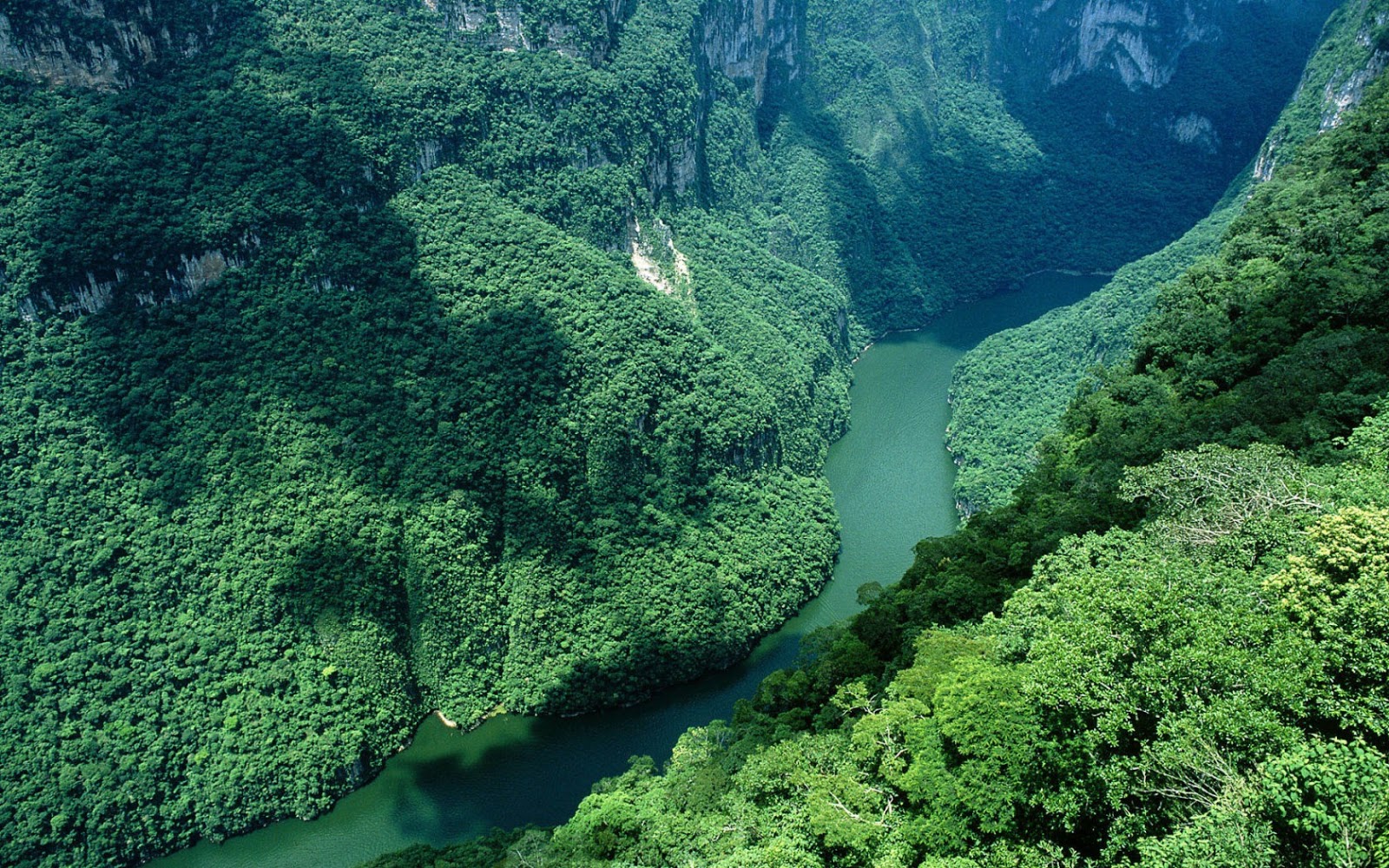 Amazon River is the second longest riverin the world and it carried 