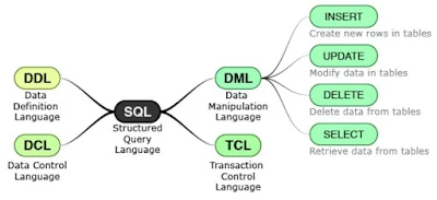 SQL Commands and Data Types || SQL Basics - DBMS Tutorial 3
