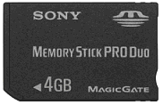 Memory Stick (MS)