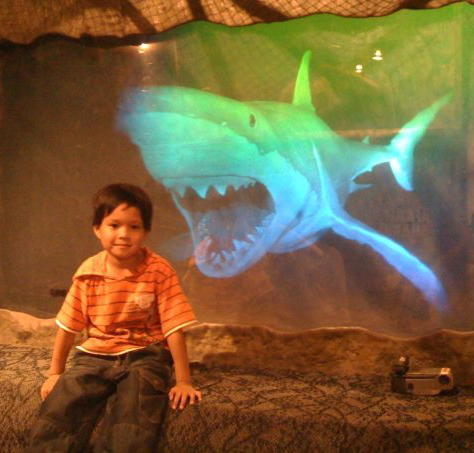 Fascinating Aquariums For Kids To See and Explore