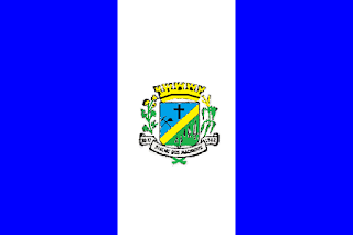 Bandeira de Riacho dos Machados MG