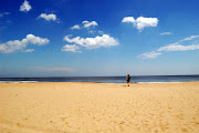 Virginia Beach was incredibly beautiful! Apparently these beauties bloom big . (bart beach )