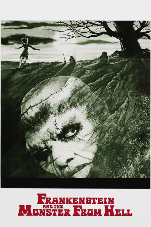[HD] Frankenstein y el monstruo del infierno 1974 Descargar Gratis Pelicula