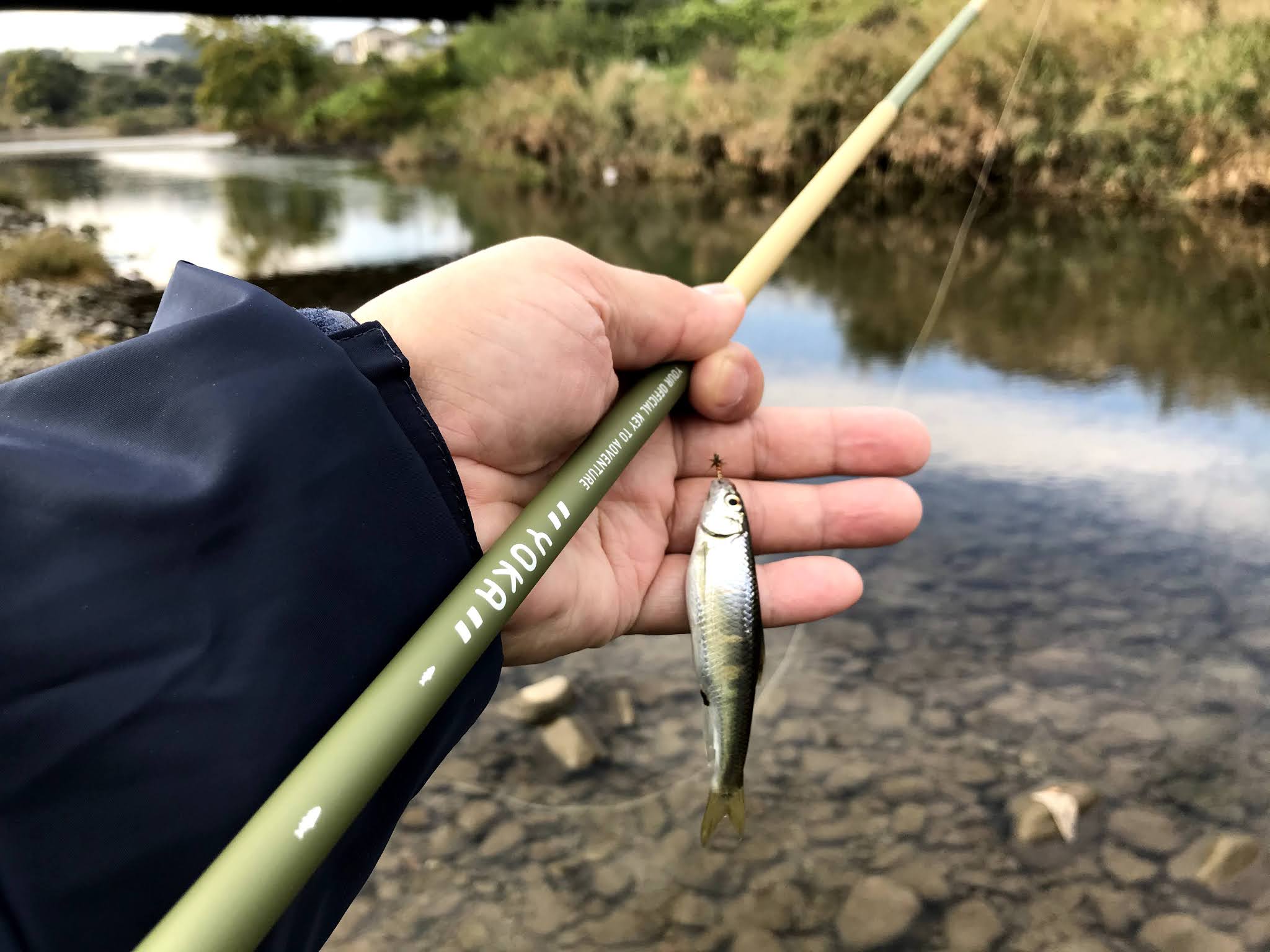 ショートロッドで遊ぶ入間川のオイカワ毛鉤釣り テンカラと名栗川の釣り 里川好きのテンカラアングラー Tenkaratrain