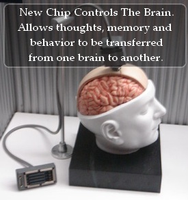 Scientists Successfully Implant Chip That Controls The Brain