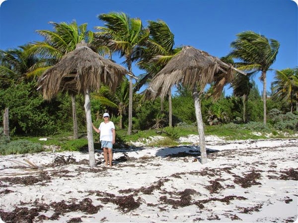 Our Palapa Rest Stop