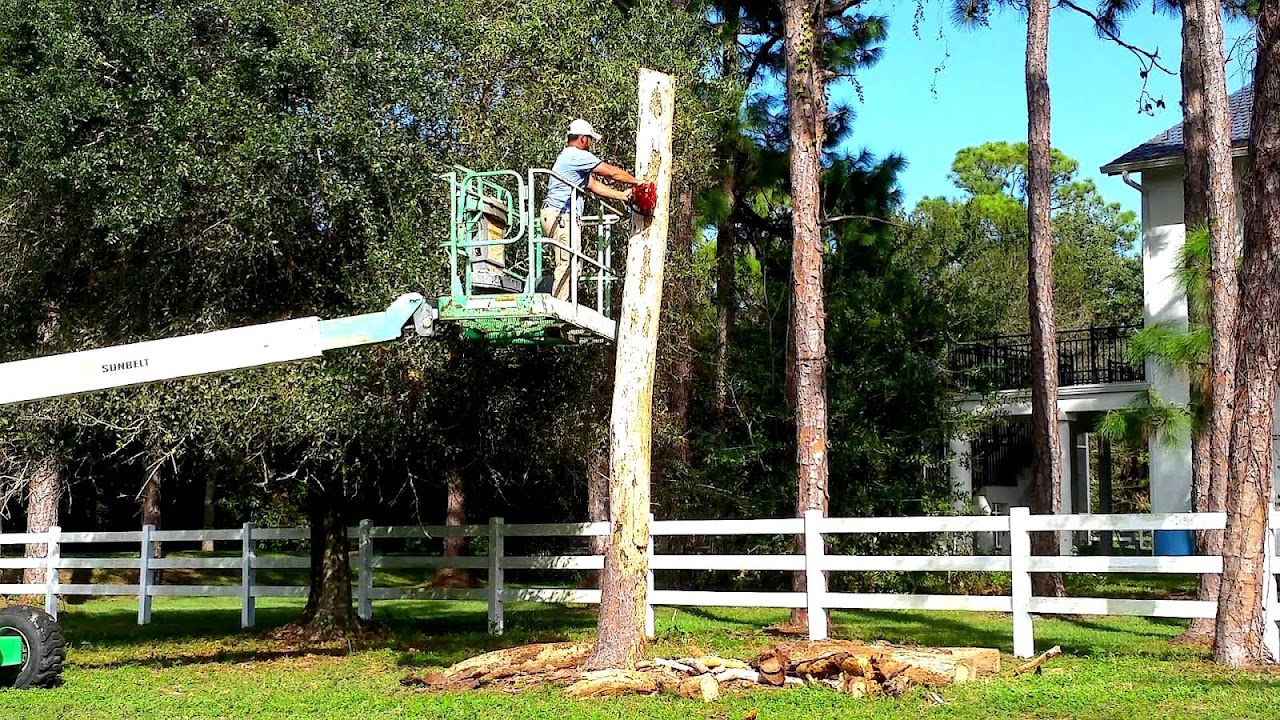 Sunbelt Tree Service