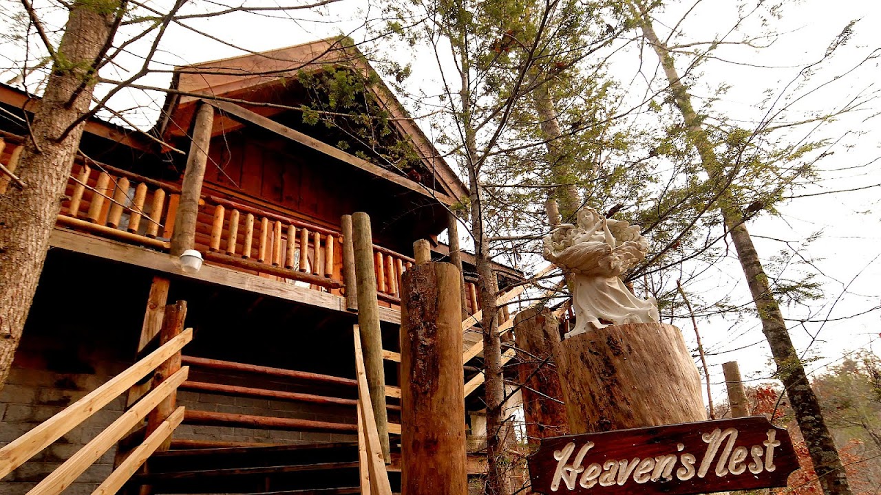 Luxury Pet Friendly Cabins In Pigeon Forge Tn