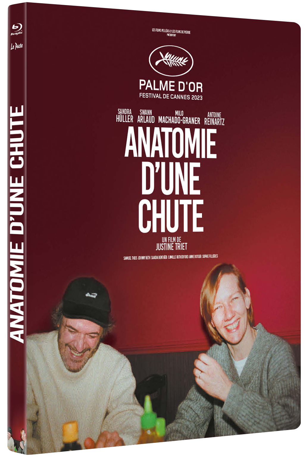 Film Anatomie d'une chute