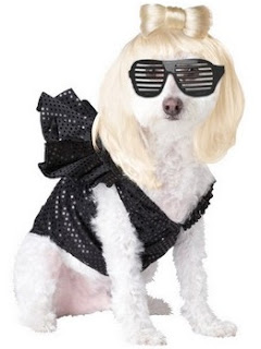 Lady Gaga Pet Costume