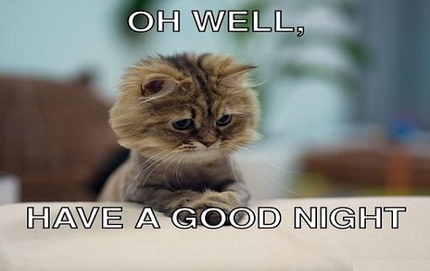 Funny Good Night Cat Memes Pictures