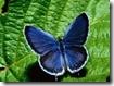 clip_image106