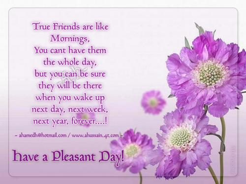 happy friendship day