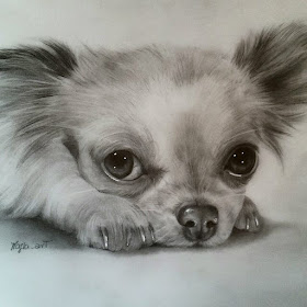 09-Chihuahua-dog-Majla-Colorful-Precise-and-Realistic-Animal-Drawings-www-designstack-co