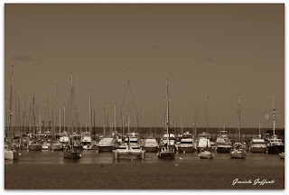 Puerto del Buceo. Montevideo. Uruguay.