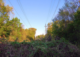 power line view