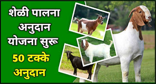 Goat-Farming-Scheme