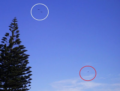 foto ufo dari seluruh dunia, gambar ufo, penampakan ufo