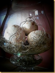 quaileggs2