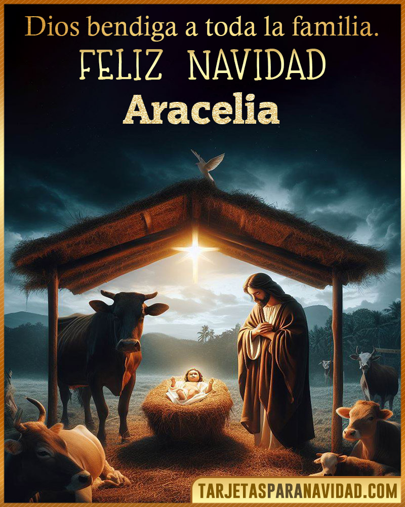 Feliz Navidad Aracelia