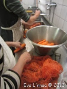 IMG_8313 IMG_8313