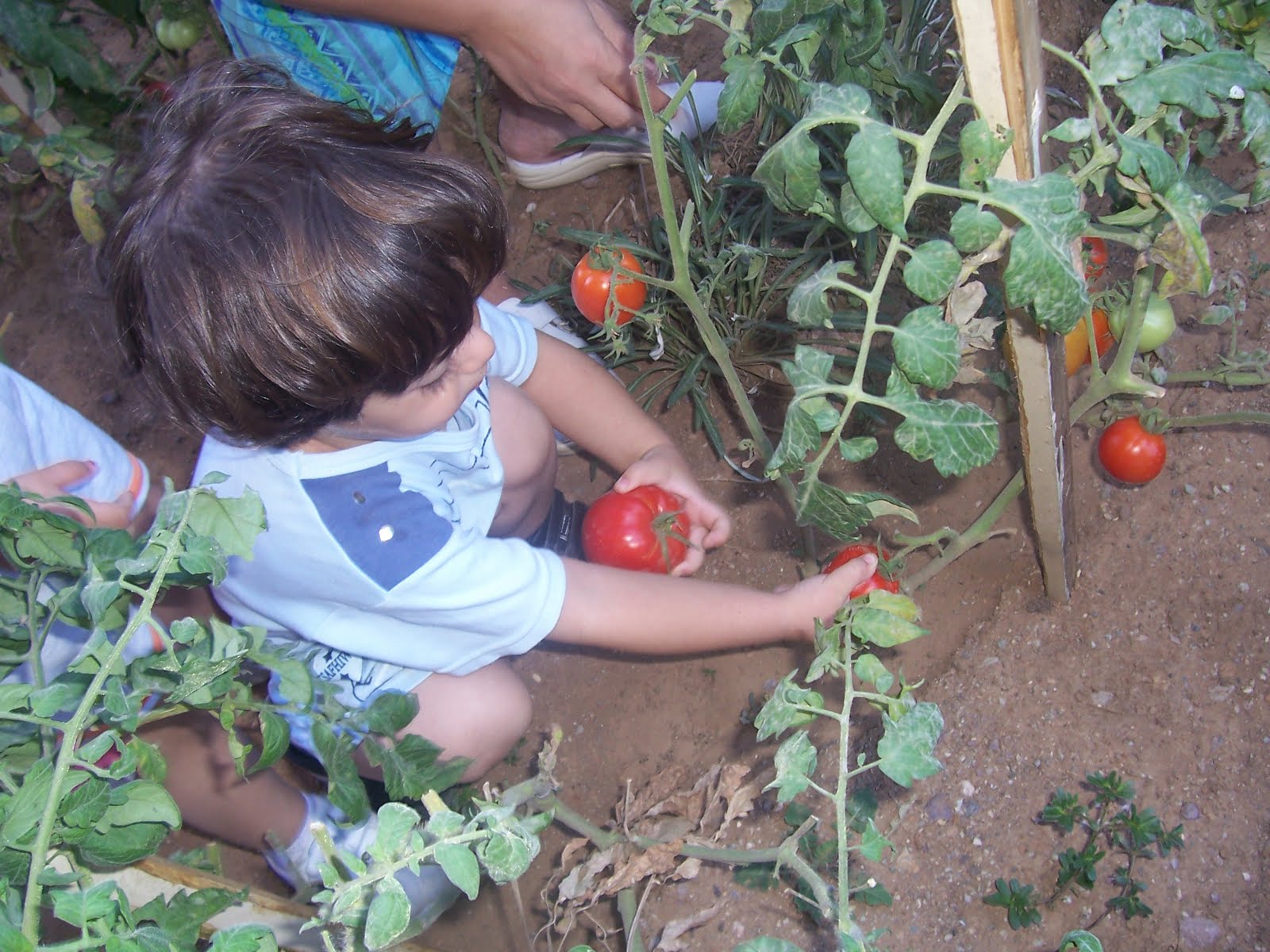 montessori practical life