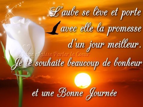 Messages De Bonne Journee Mon Amour Messages D Amour