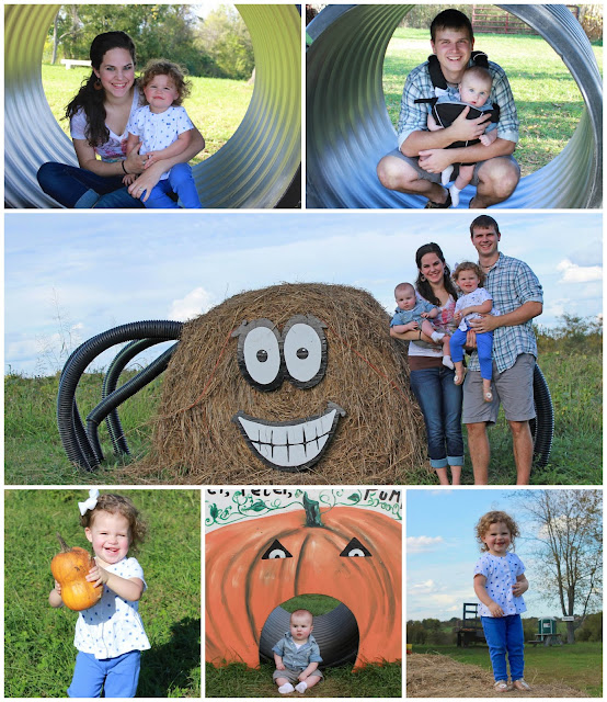 pumpkin patch, Baldwin Farms, Baldwin Farms Pumpkin patch, family fun, pumpkin patch fun