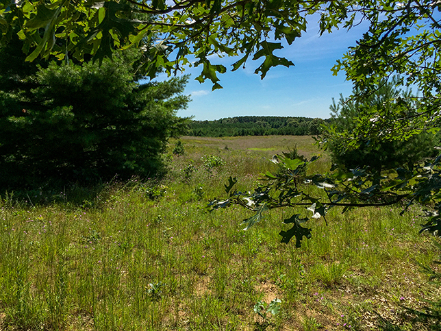 Ice Age Trail Deerfield Segment