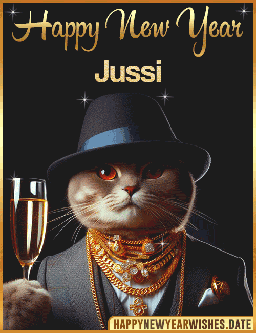 Happy New Year Cat Funny Gif Jussi