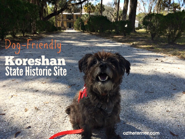 Oz the Terrier visits dog-friendly Koreshan State Historic Site