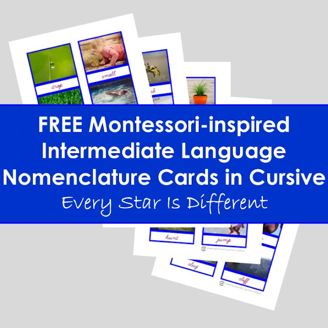 Free Montessori-inspired Intermediate Language Nomenclature Cards in Cursive