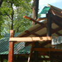 View album