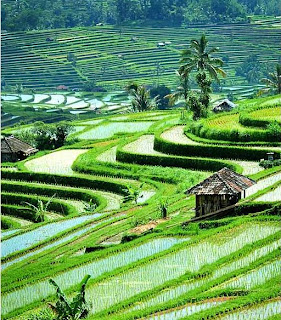 Mengenal Lebih dekat Tentang Indonesia