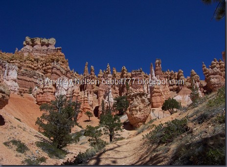 Bryce_0181