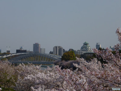 桜と大阪城