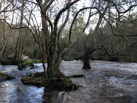 by E.V.Pita / River Anllons - Verdes (Spain, Galicia)