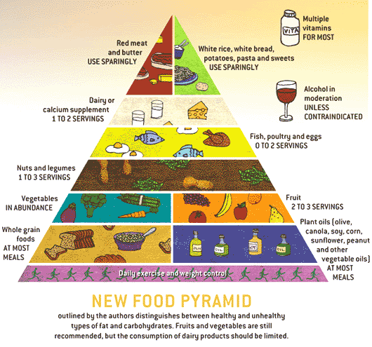 4 food groups for kids. Children have used the food